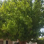 Sanja פרמנטורה